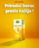 Jagorčevina-Poster