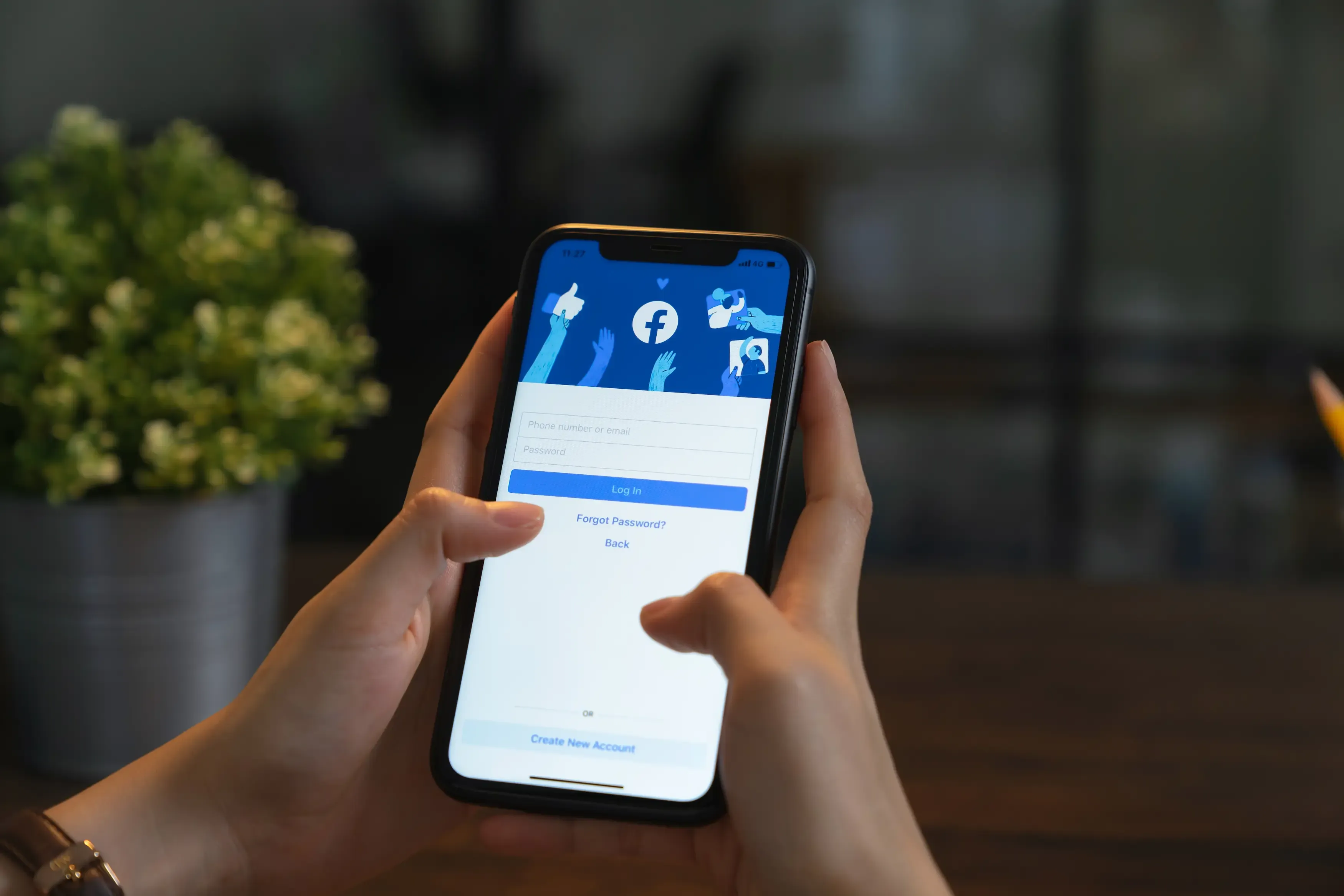 Indigo Facebook marketing bento pozadina